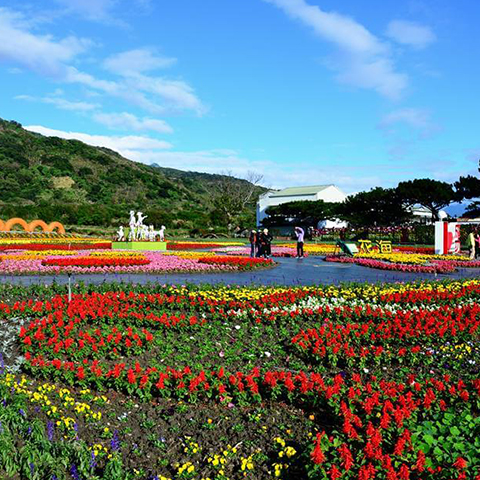 Taitung & Hualien Sea of Flowers Festival