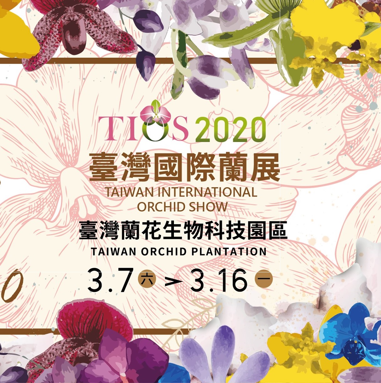 Taiwan International Orchid Show