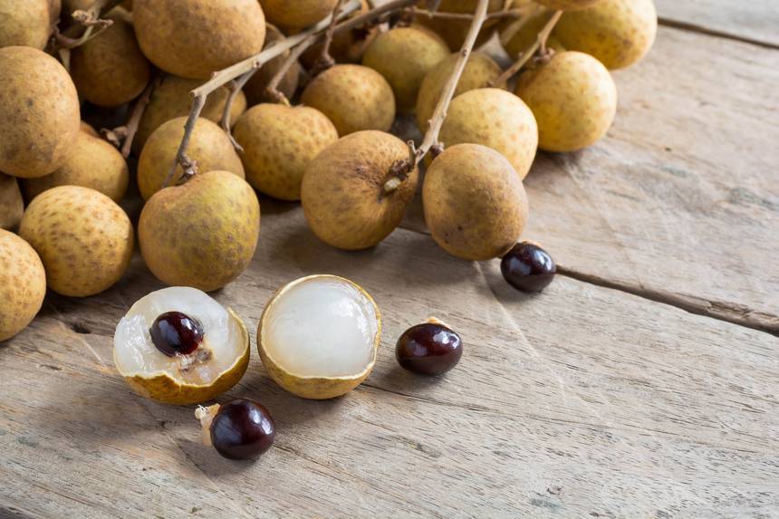 Featured introduction-Longan