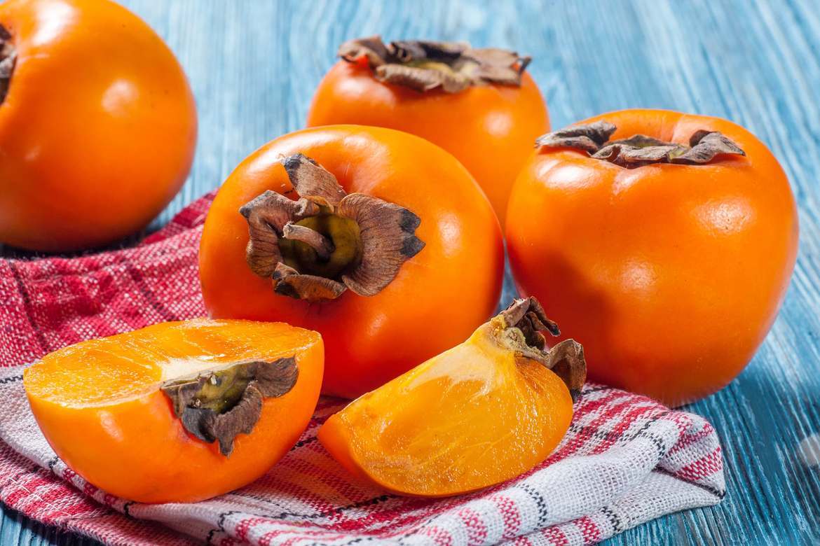 Featured introduction-Persimmon
