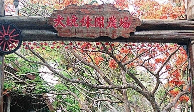 台灣農村美食小吃地方特色料理-臺南市新化區大坑休閒農場