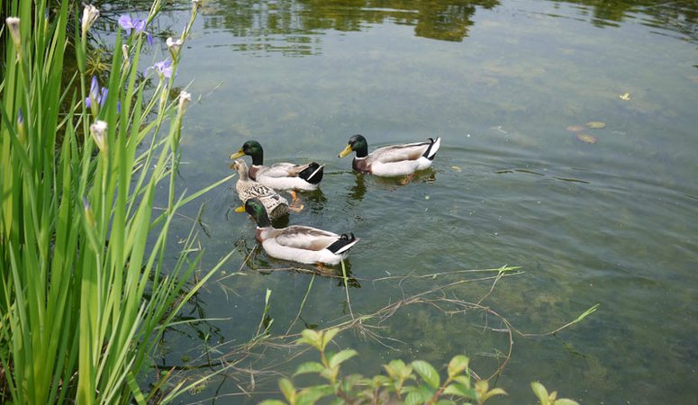禾風竹露休閒農場