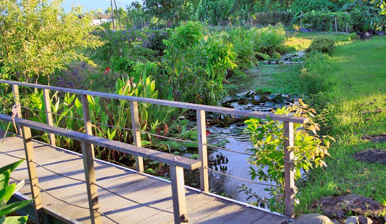 禾風竹露休閒農場
