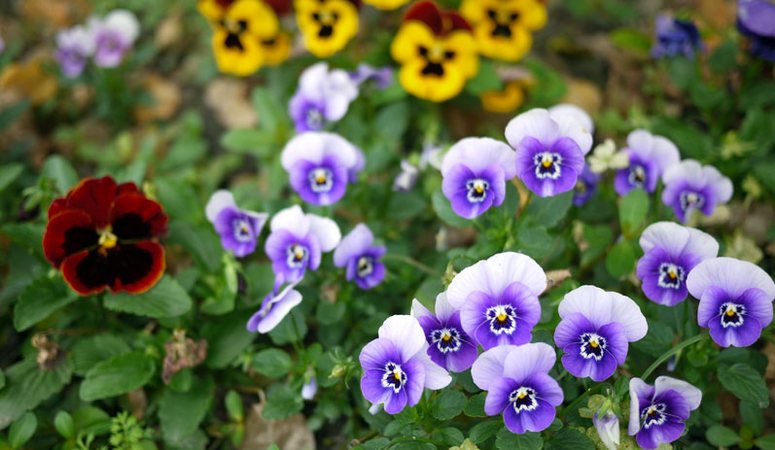 禾風竹露休閒農場