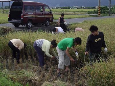 掌上明珠休閒農場
