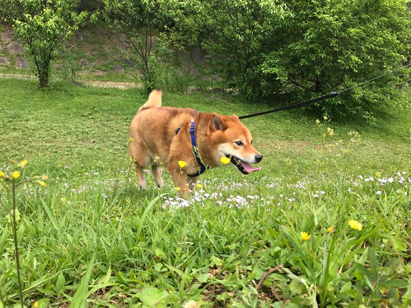 登山愛好者不可錯過的環山休閒農場