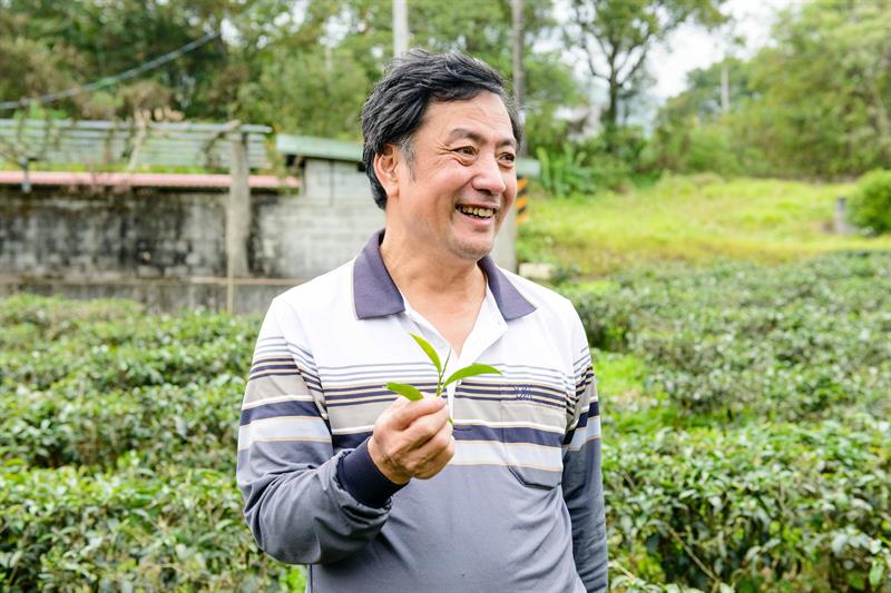 農遊解說達人：冠軍級的蜜香紅茶要多少錢？--蜜香紅茶生態故事館