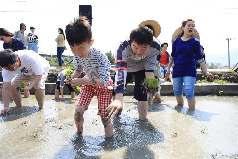 蘇花路上最美一站　大南澳推綠色休閒農業人氣旺