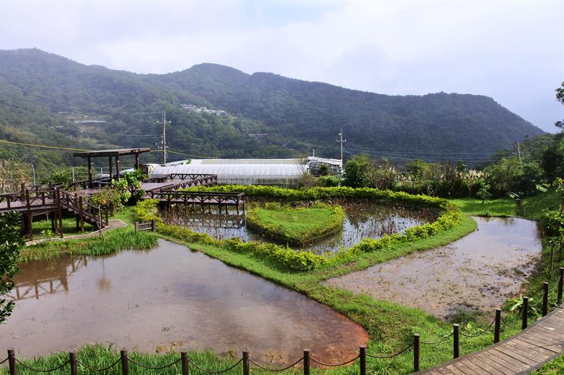 親子輕旅行 台北白石湖採草莓、踏青一日遊