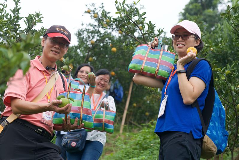 水果旅行／土地公的恩賜　台南東山青皮椪柑