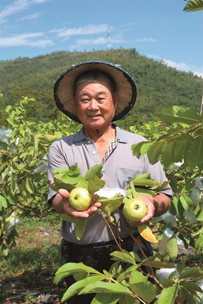 大進休閒農業區