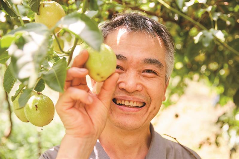 和平部落休閒農業區