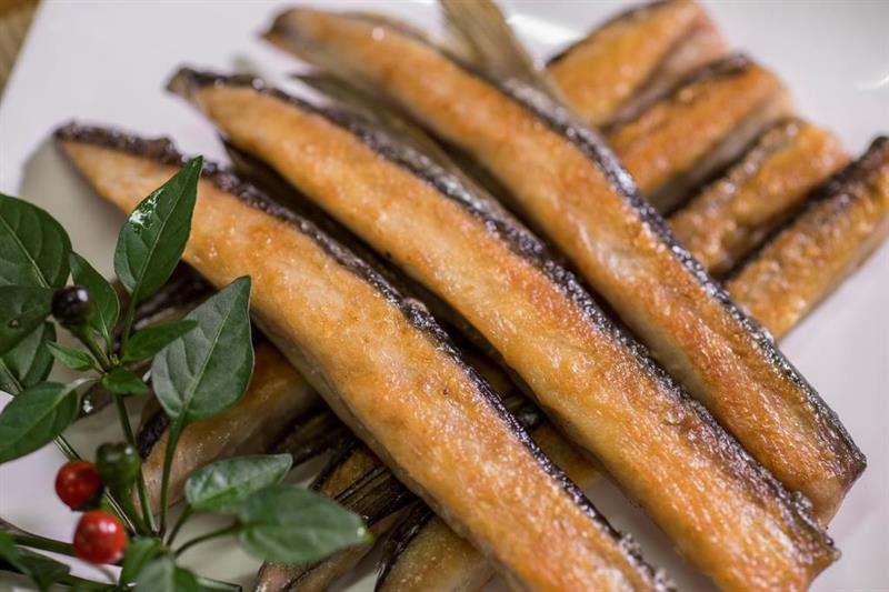 Agro-tour Featured Report- Gourmet Seafood to Satisfy Your Taste Bud