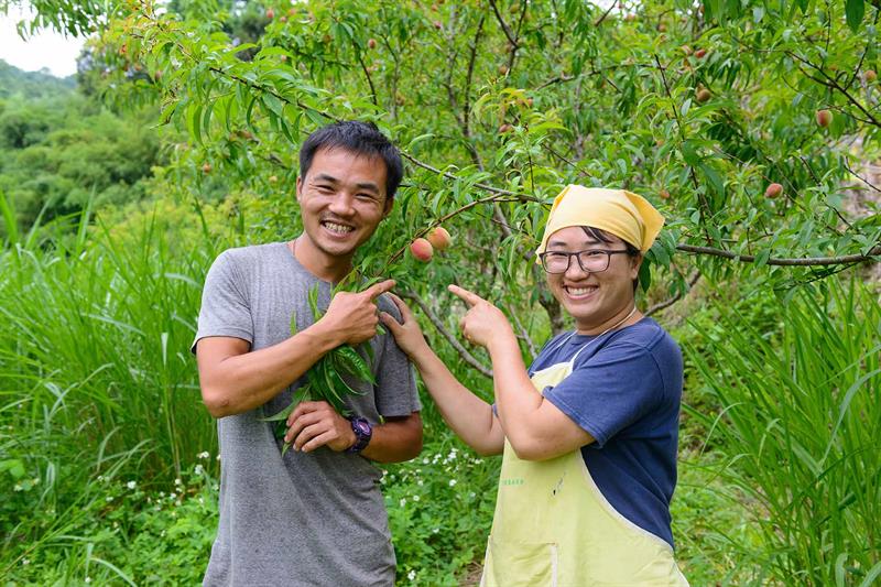 【樂遊苗栗慢城】大膽搶水果、愛上客家創意菜