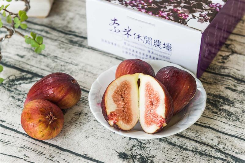 【夏日採葡萄的初體驗】海外遊客指定，葡萄大又甜的果園