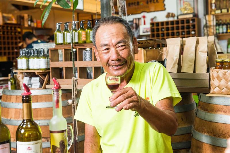 【夏日採葡萄的初體驗】釀出世界金牌酒，朝聖台灣必訪葡萄酒莊