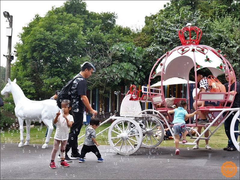 我的鮮遊記--彰化旅遊│親子一日遊：今夜星辰休閒農場、楊桃園休閒農場