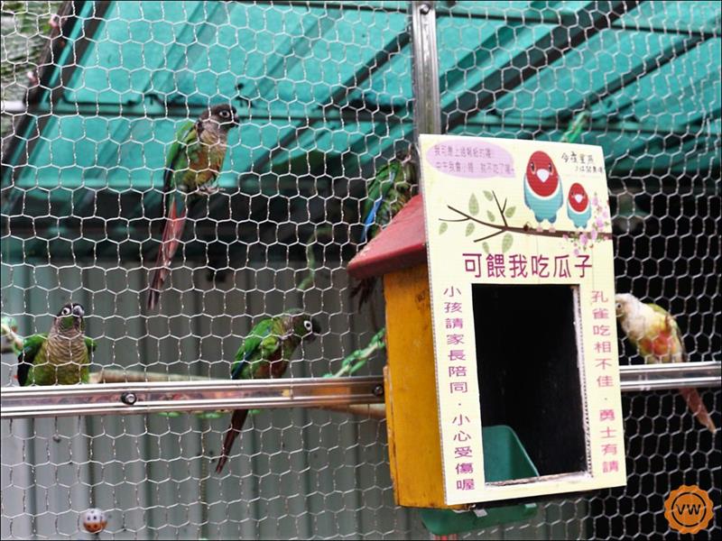 我的鮮遊記--彰化旅遊│親子一日遊：今夜星辰休閒農場、楊桃園休閒農場