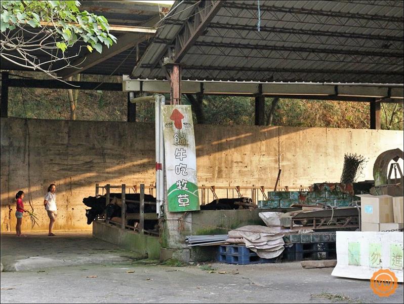 我的鮮遊記--彰化旅遊│親子一日遊：今夜星辰休閒農場、楊桃園休閒農場