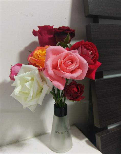 The Happiness of Rambling through the Sea of Flowers with Your Sweetheart