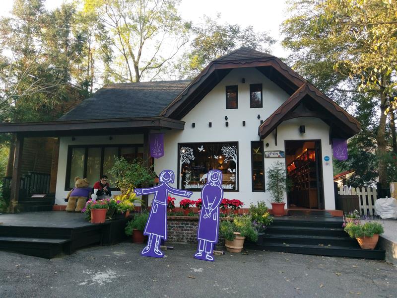 恋人とゆっくり幸せな花の海を歩く