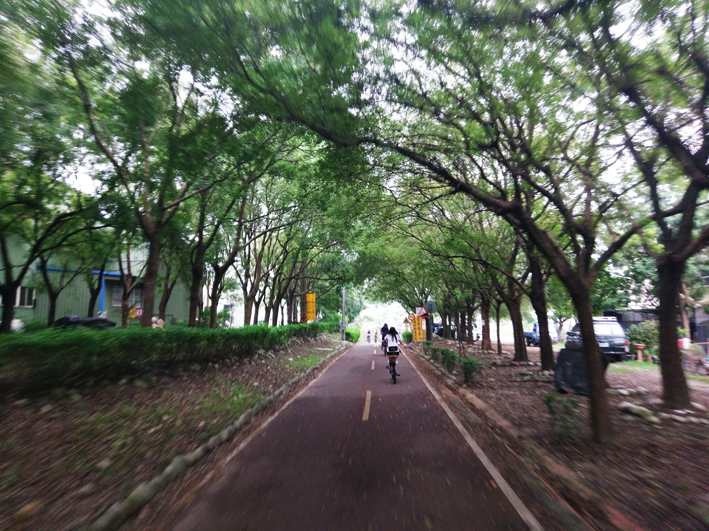 The Pears of Dongshi in Season! Follow the King of Fruits and Wander through Taichung City