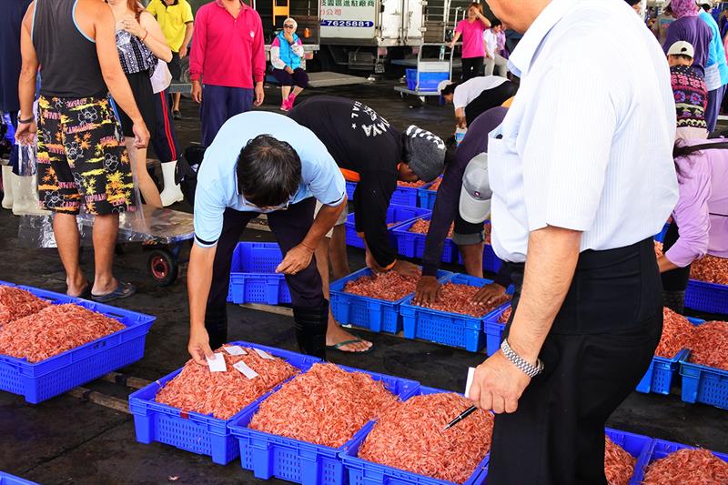 旅は若者だけの特権ではありません！おじいさんもおばあさんも存分に楽しめます