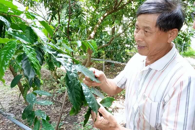 中部の旅に出たら、一杯飲むのを忘れずに：紅茶とコーヒーで体験する職人の心