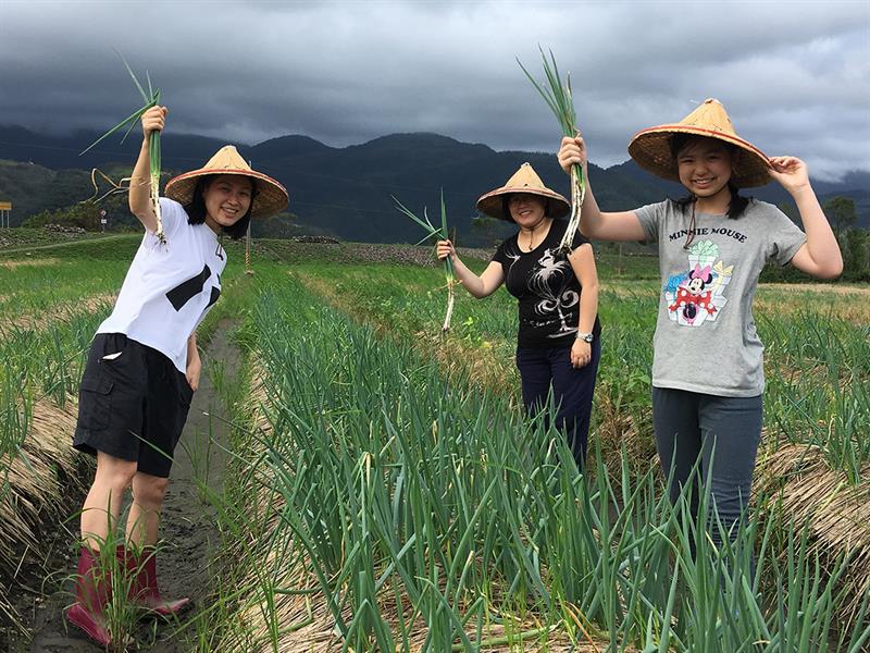 青年返鄉，休閒農業生力軍報到！