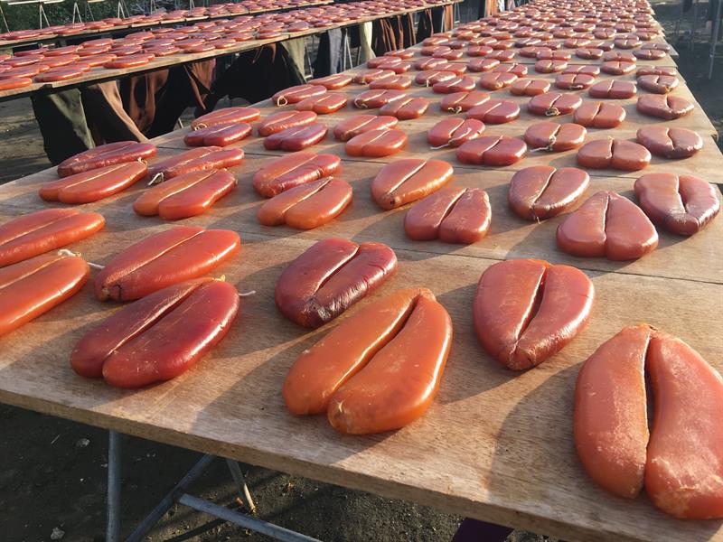 Come on, Let’s Get Some Fresh Air at the Fishery Harbor: Enchanting Landscapes at Top Ten Fishing Ports