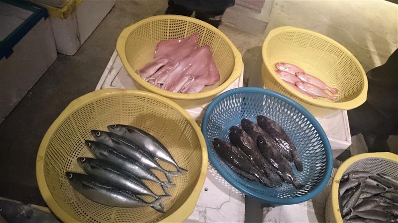 Come on, Let’s Get Some Fresh Air at the Fishery Harbor: Enchanting Landscapes at Top Ten Fishing Ports