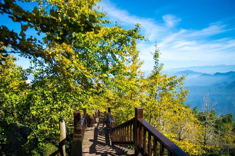 Top 10 Ways for the Elderly Who Loves to Travel