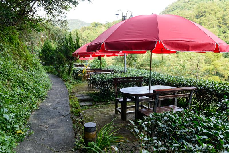 Here Comes the Tea Harvest Festival: A Guide Tour to Tea and Delicacies in Maokong