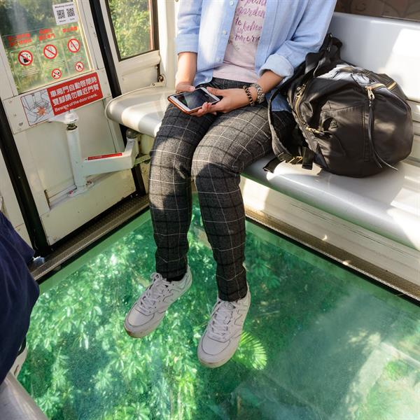 Here Comes the Tea Harvest Festival: A Guide Tour to Tea and Delicacies in Maokong