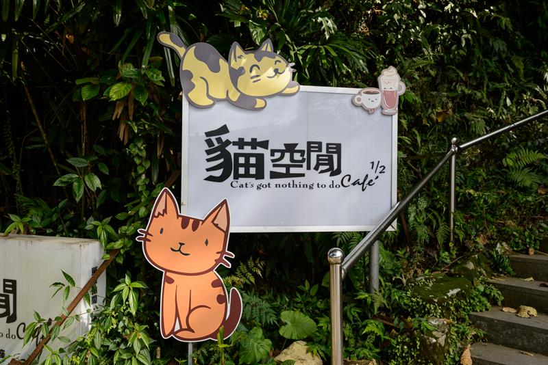 Here Comes the Tea Harvest Festival: A Guide Tour to Tea and Delicacies in Maokong