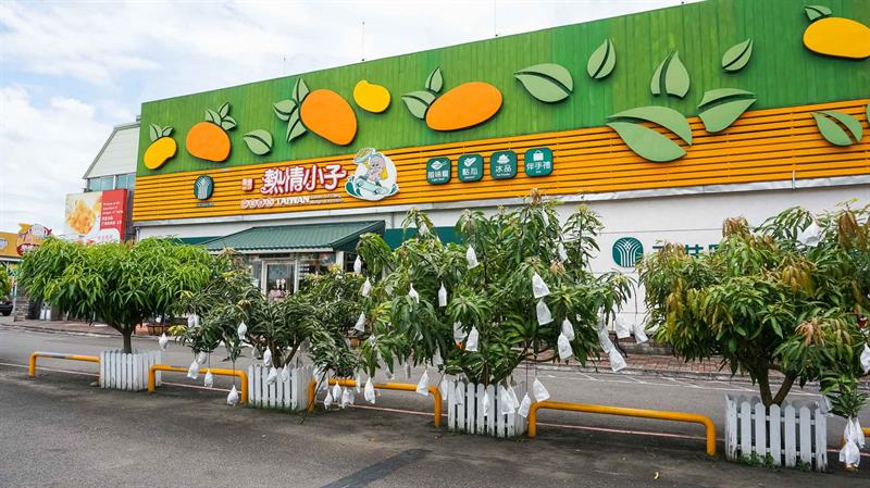Summer Mango Feast Come on Stage   Traveling in Tainan to Have Cool Treats and Pick Fresh Fruits