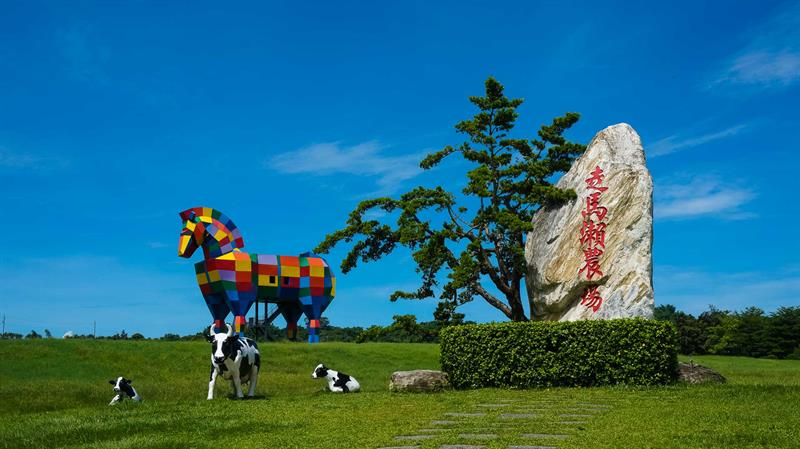 Summer Mango Feast Come on Stage   Traveling in Tainan to Have Cool Treats and Pick Fresh Fruits