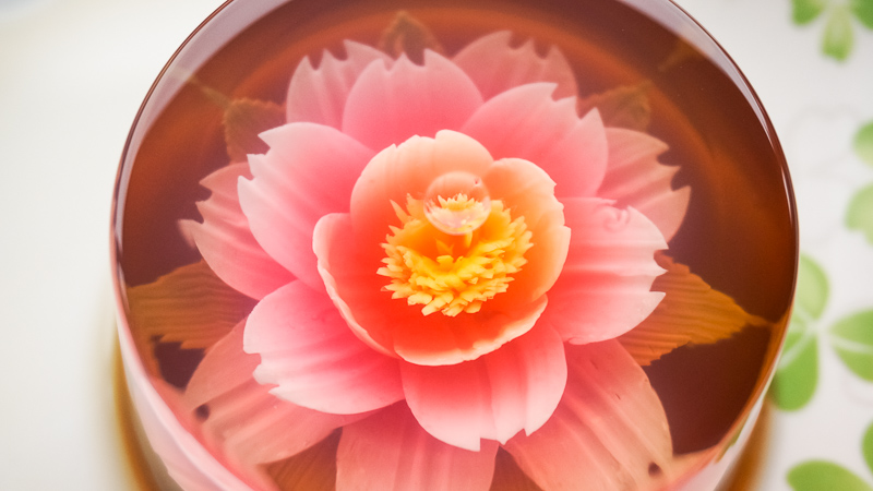 One Day Tour in Zhongshan Leisure Farm Area