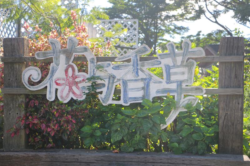 A Half Day Tour to The Floral Sea in Xihai, Taoyuan