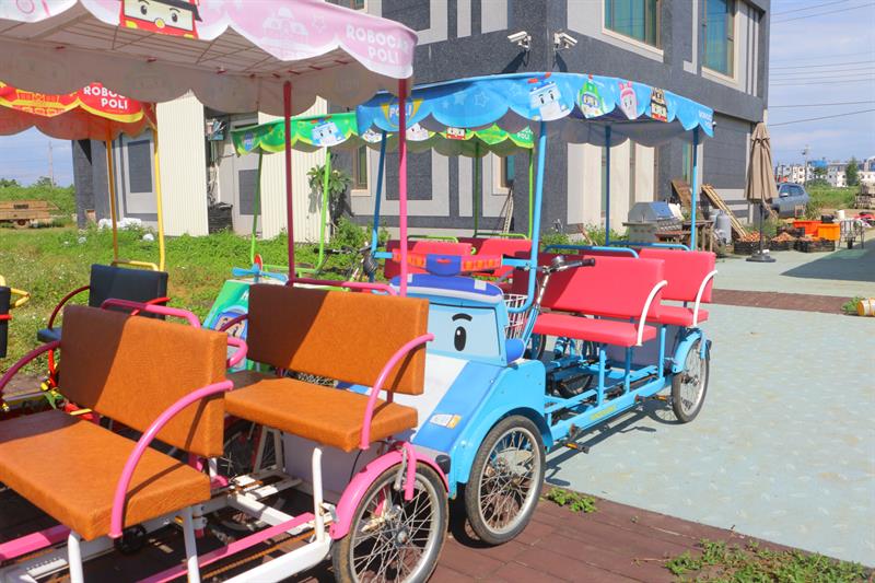 A Half Day Tour to The Floral Sea in Xihai, Taoyuan