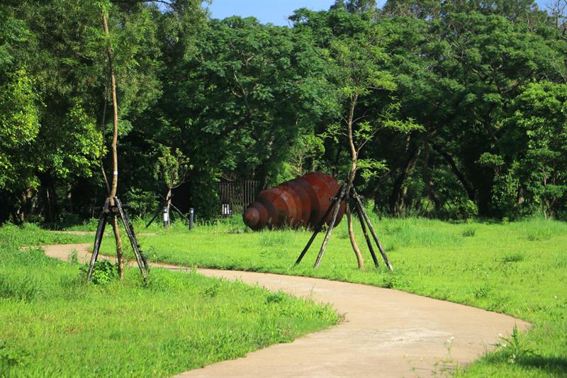A Half Day Tour to The Floral Sea in Xihai, Taoyuan