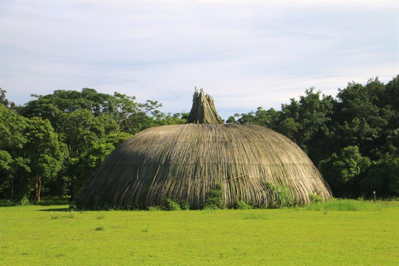 A Half Day Tour to The Floral Sea in Xihai, Taoyuan