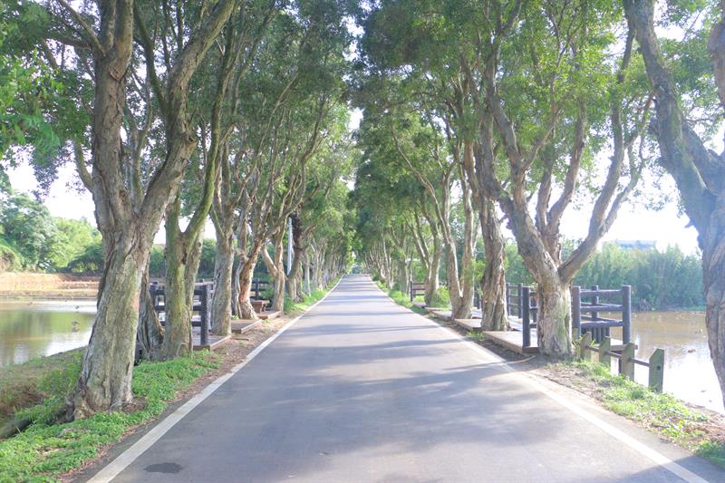 A Half Day Tour to The Floral Sea in Xihai, Taoyuan