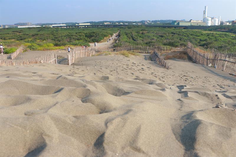 A Half Day Tour to The Floral Sea in Xihai, Taoyuan
