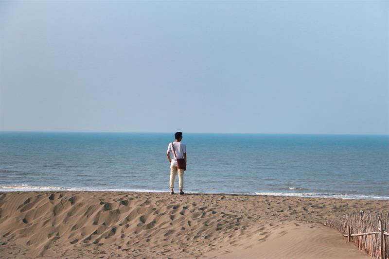 A Half Day Tour to The Floral Sea in Xihai, Taoyuan