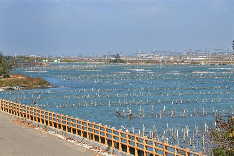 雲嘉濱海秘境，一次海味與景致的輕旅行