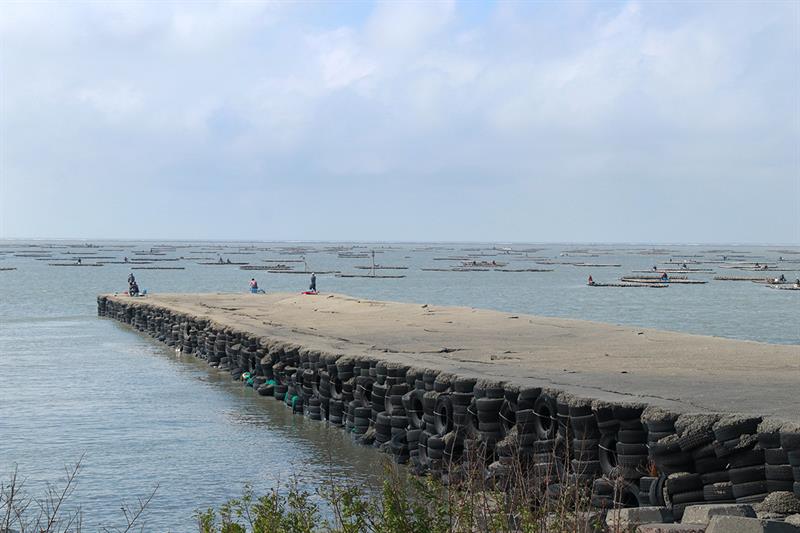 雲嘉濱海秘境，一次海味與景致的輕旅行