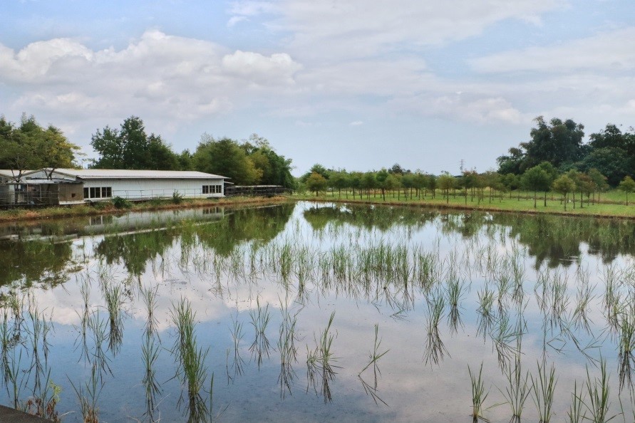 Touring in Yuanshan, Yilan - A LOHAS Trip to the Town of Water