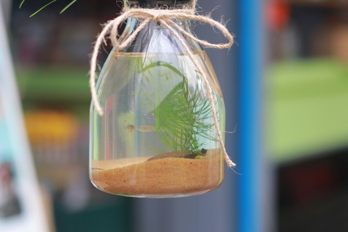 Touring in Yuanshan, Yilan - A LOHAS Trip to the Town of Water