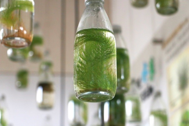 Touring in Yuanshan, Yilan - A LOHAS Trip to the Town of Water